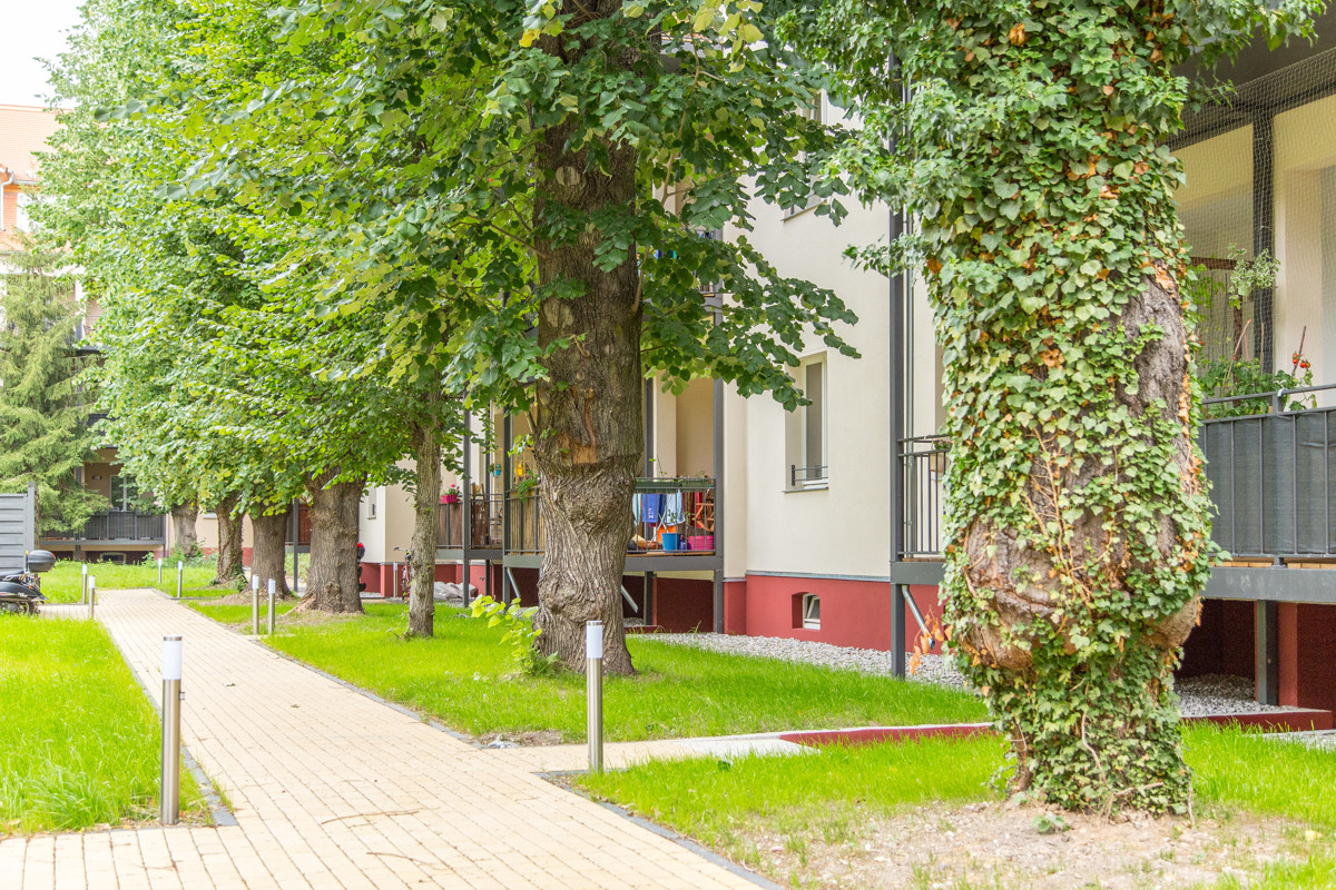 DergrueneInnenhof