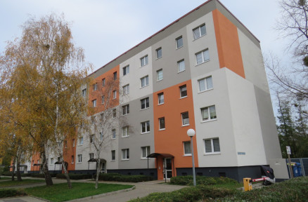 Kapitalanlage im ruhigen Stadtteil Magdeburgs!