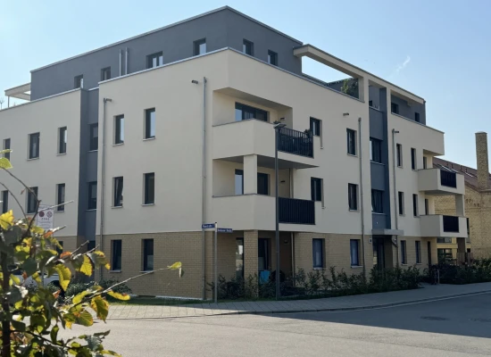 Vorderansicht der Immobilie: Stadtvilla Carola (Titelbild)