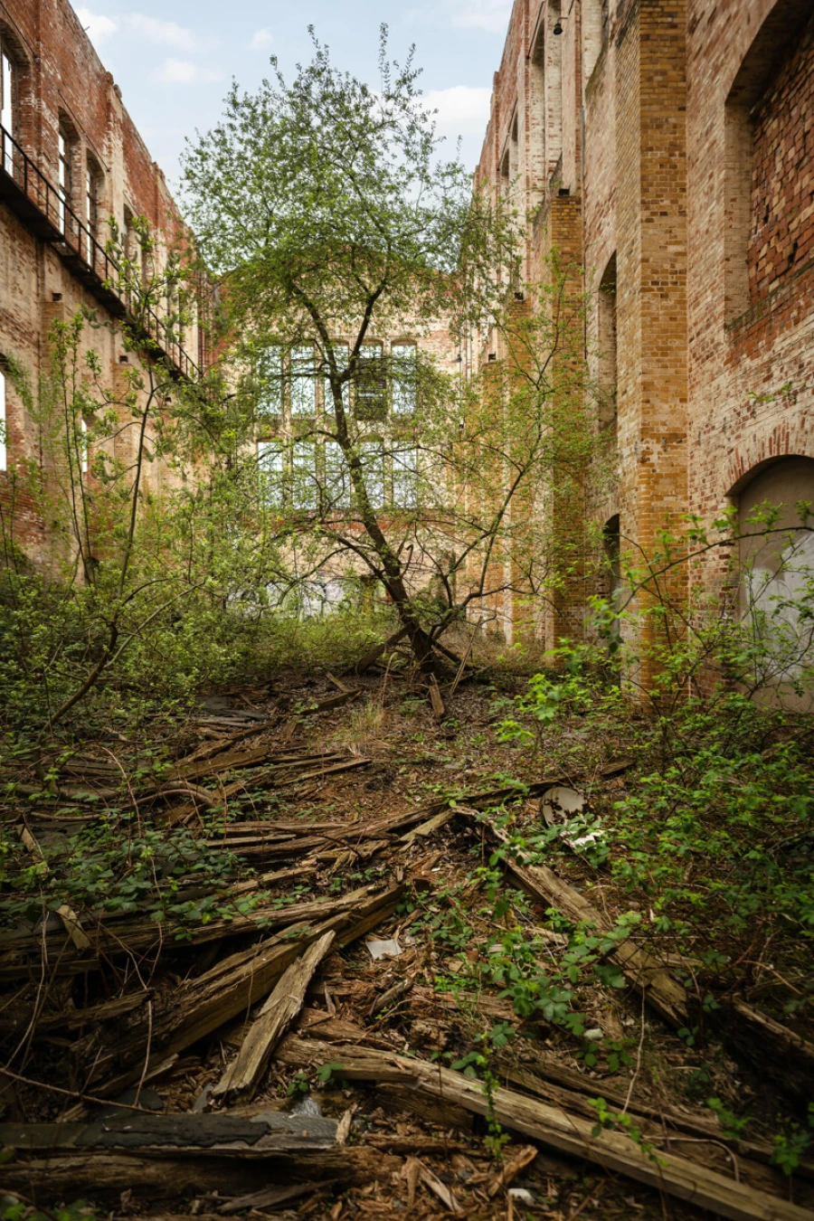 2025-04-17_Eric-Kemnitz_8856