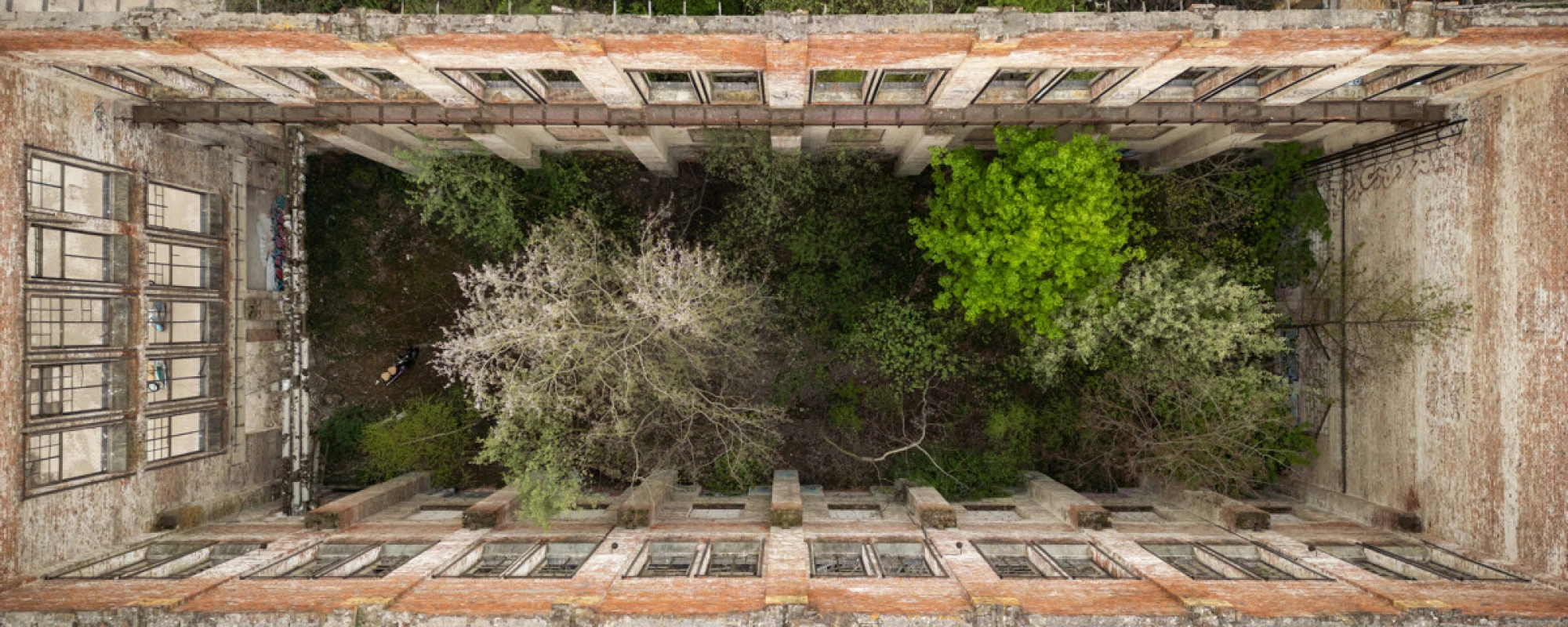 2025-04-17_Eric-Kemnitz_0175